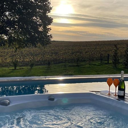 Best View, Pool And Spa On The Champagne Vineyard Saint-Thierry Exterior foto