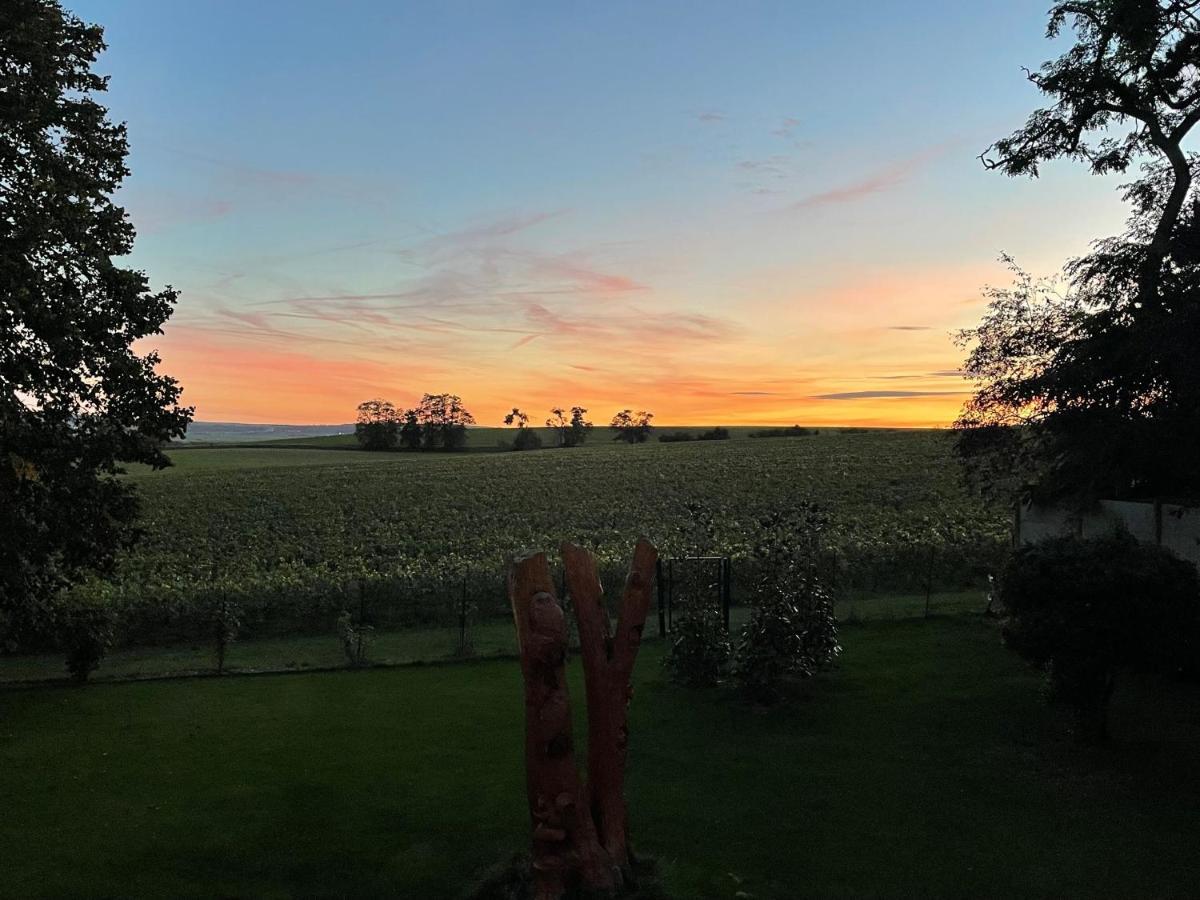 Best View, Pool And Spa On The Champagne Vineyard Saint-Thierry Exterior foto