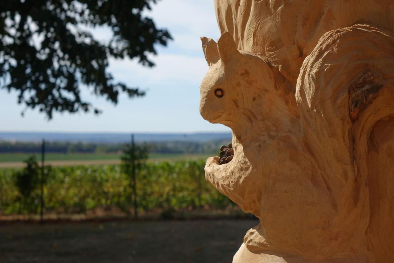 Best View, Pool And Spa On The Champagne Vineyard Saint-Thierry Exterior foto