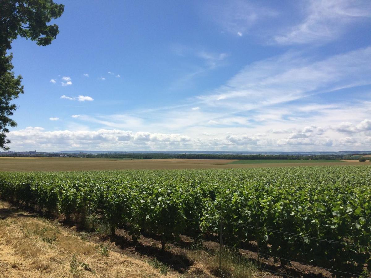 Best View, Pool And Spa On The Champagne Vineyard Saint-Thierry Exterior foto