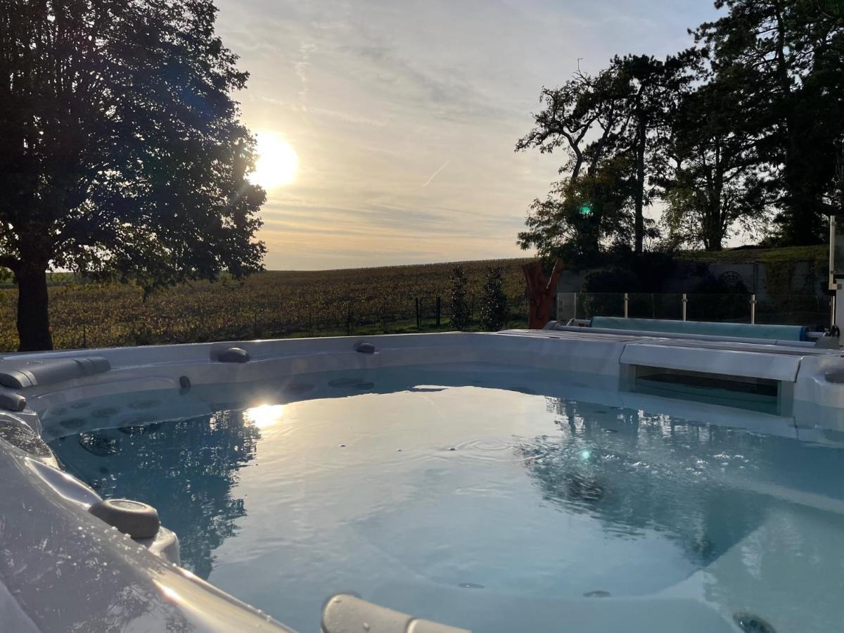 Best View, Pool And Spa On The Champagne Vineyard Saint-Thierry Exterior foto