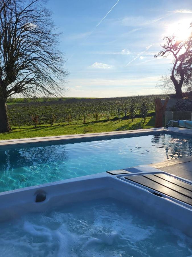 Best View, Pool And Spa On The Champagne Vineyard Saint-Thierry Exterior foto